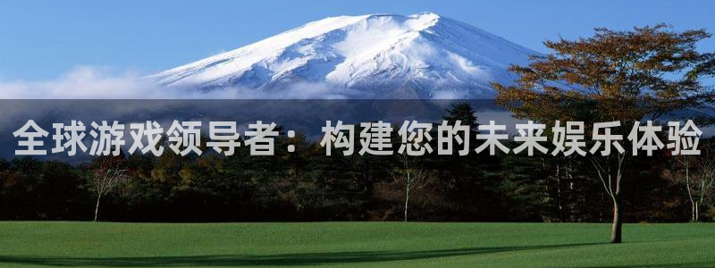 新城平台注册登录地址是什么