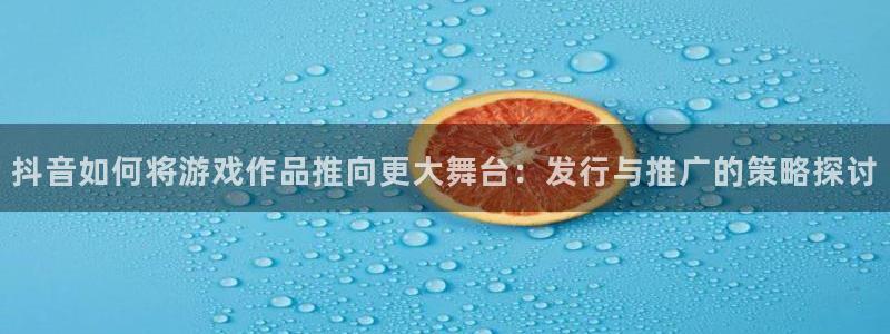 新城平台登录入口官网查询信息
