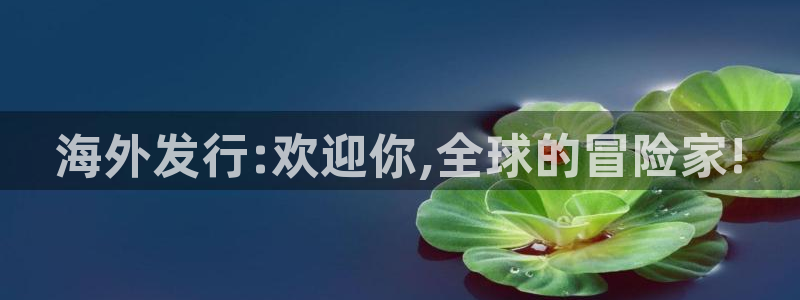 新城平台登录密码忘了怎么找回