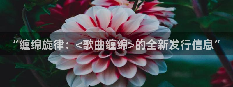 新城平台革7O777