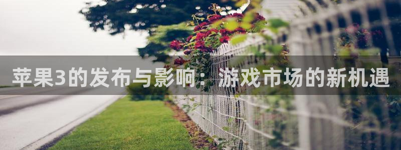 新城平台线路登录不上去怎么回事儿