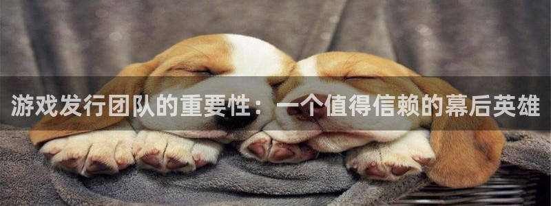 新城平台注册网址