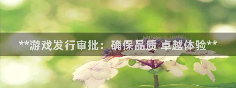 新城平台登录入口官网网址查询：**游戏发行审批：确保品质 卓越体验**
