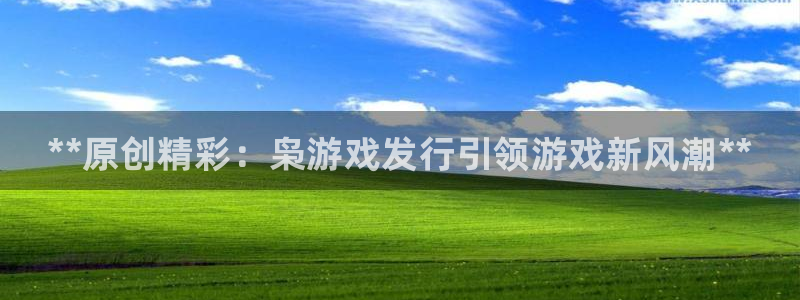 新城平台注册流程视频：**原创精彩：枭游戏发行引领游戏新风潮**