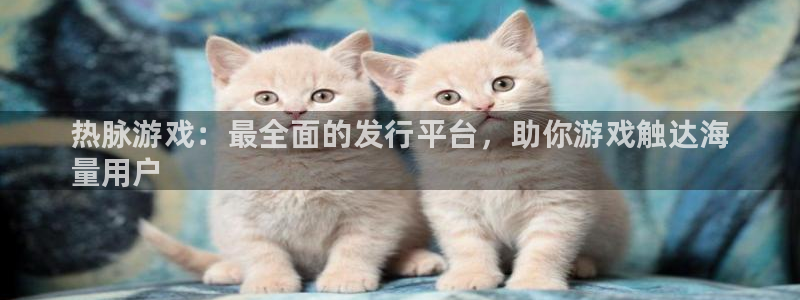 新城平台负责人