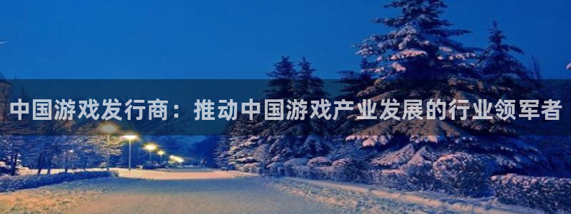 新城平台进·新城平台：中国游戏发行商：推动中国游戏产业发展的行业领军者
