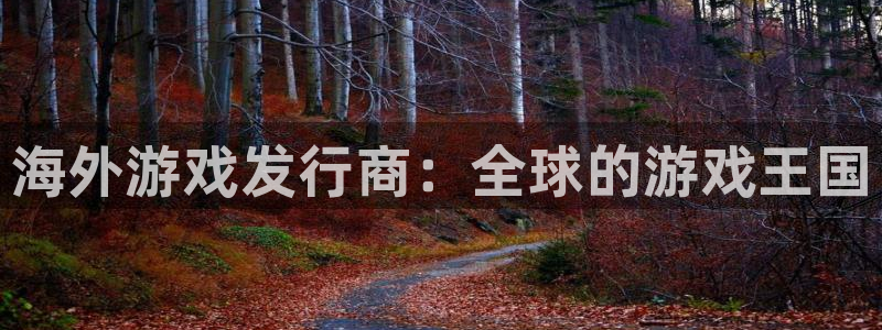 新城平台官网首页网址