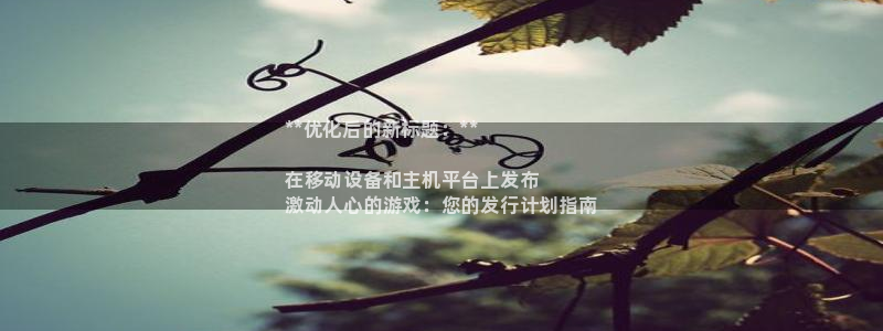 新城平台总代：**优化后的新标题：**

在移动设备和主机平台上发布
激动人心的游戏：您的发行计划指南