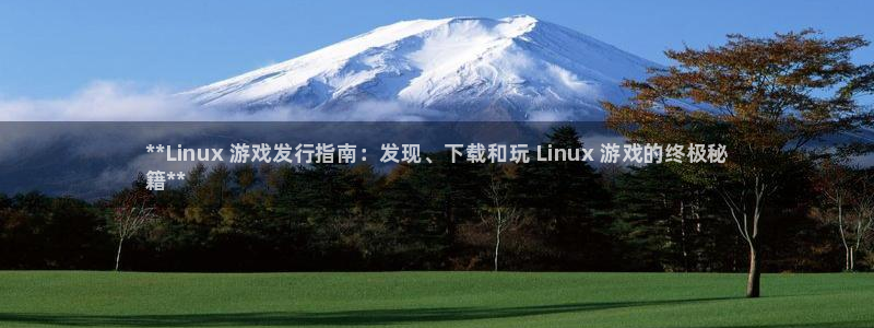新城平台登录入口官网查询系统：**Linux 游戏发行指南：发现、下载和玩 Linux 游戏的终极秘
籍**