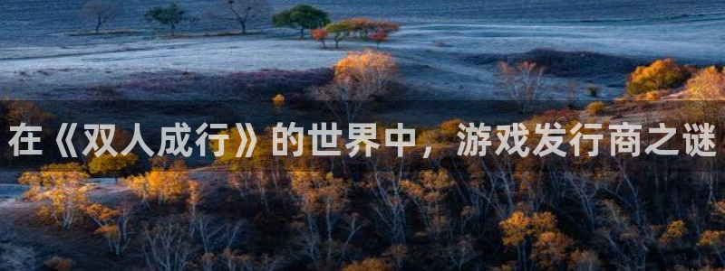 新城平台计7O777