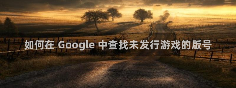 新城平台终7O777：如何在 Google 中查找未发行游戏的版号