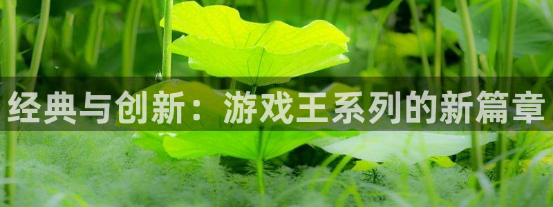 新城平台代理：经典与创新：游戏王系列的新篇章