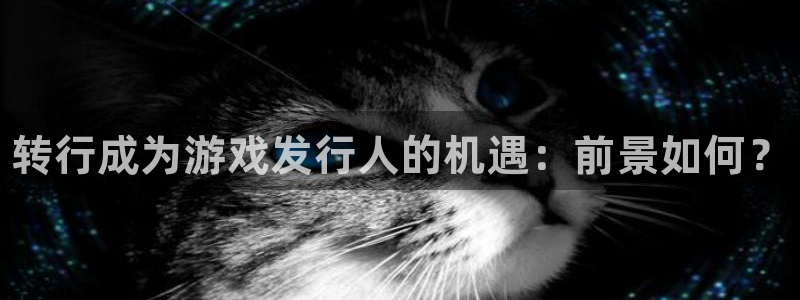 新城平台注册公司流程视频：转行成为游戏发行人的机遇：前景如何？